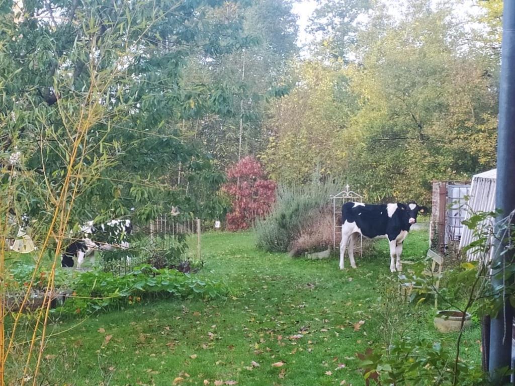 Gasthaus La Bruyere Du Coq Stables Sart-Dames-Avelines Exterior foto